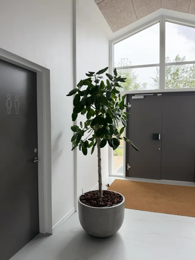 IMG 1970